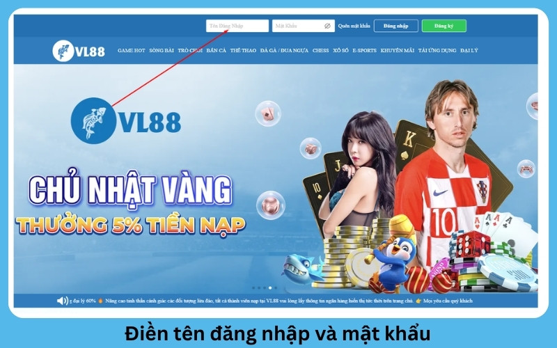 điều thông tin tài khoản và mật khẩu để đăng nhập vào trang chủ nhà cái