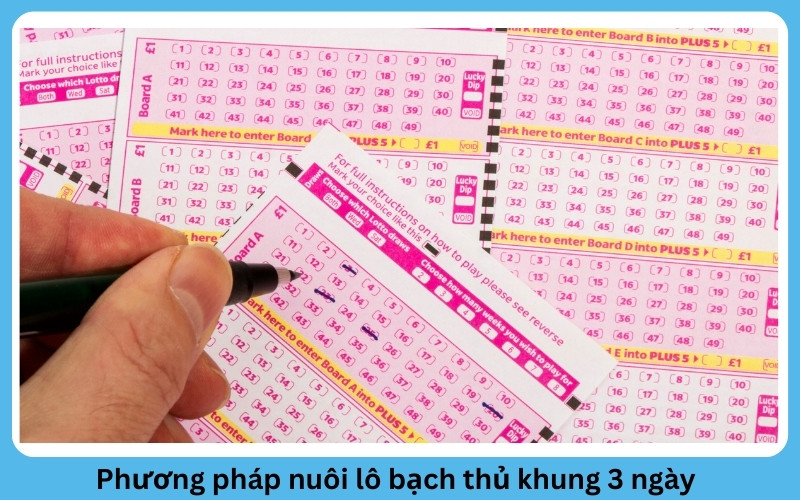 Phương pháp nuôi lô bạch thủ khung 3 ngày 